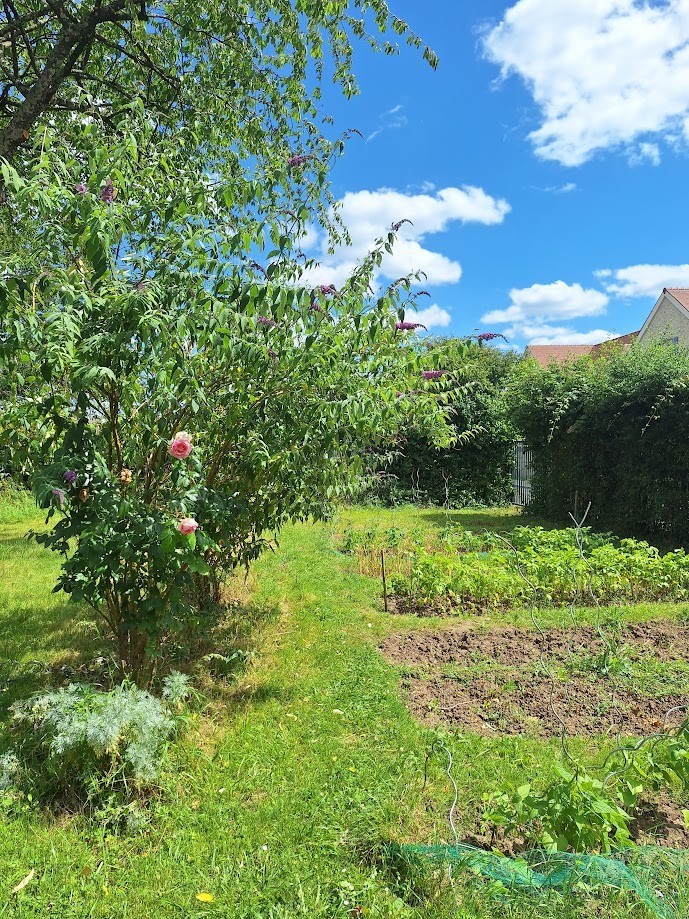 Jardin Partagé