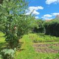 Jardin Partagé