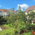 Jardin Partagé