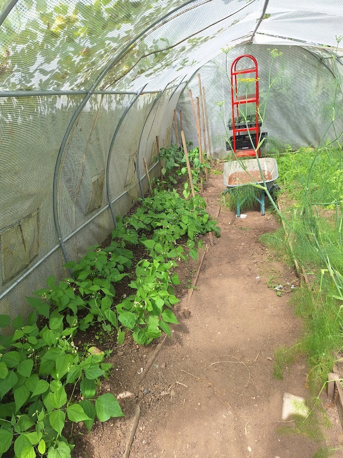 Serre Jardin Partagé